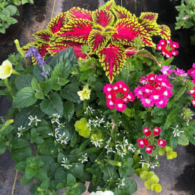 12" Combination Porch Planter item