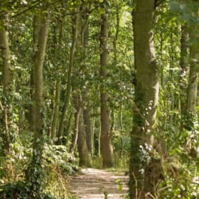 Woodland Event Sponsor item