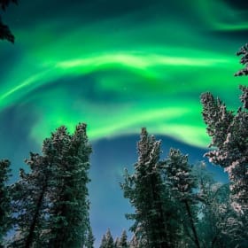 Northern Lights Event Sponsor item