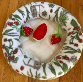 🐱 NAP TIME – The Purr-fect Package! 🐾 item