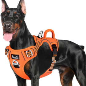 Dog Collars for large dog (2)- size to be verified item