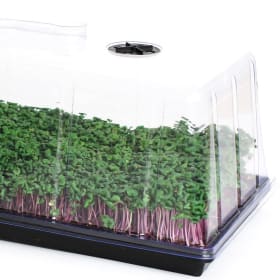 Pacific Northwest Garden Supply - $154 Garden Starter Kit #2 item