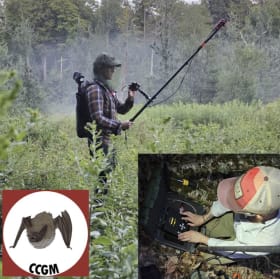 #164 - Nighttime observation of bats (2 people) item