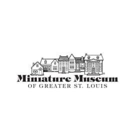 St. Louis Kids Fun item