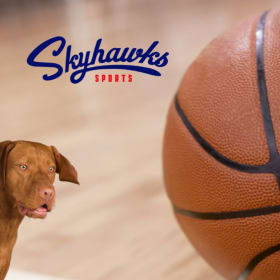 Martinez Basketball & More Camp item