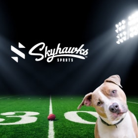 Martinez Girls Flag Football Camp item