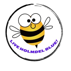 Vinyl Live Holmdel Blue Sticker (3" x3") item