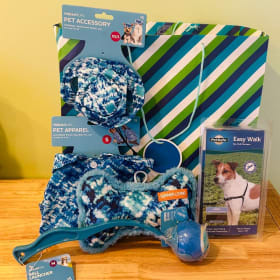 Lot #178 Playful Pet Donated By Friends of ABOB Value $65 item