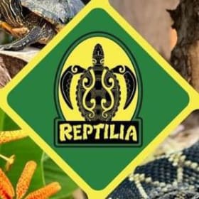 Reptilia - One "Family Pass" plus two "2-for-1" Passes (2) item