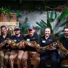 Reptilia - One "Family Pass" plus two "2-for-1" Passes (2) item