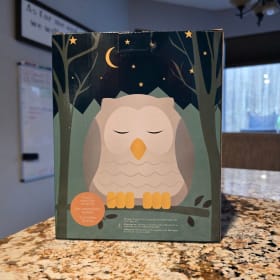 Diffuser & Oils item