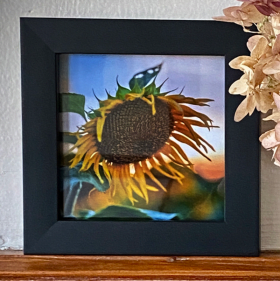 Island of Misfit Crafters – Framed Original Photos 🌻✨ item