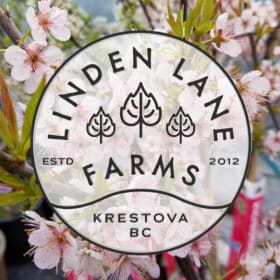 Linden Lane Farms - $75 Gift Certificate item