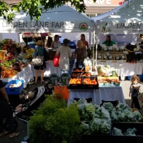 Linden Lane Farms - $75 Gift Certificate item