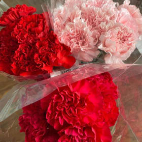 Carnations item