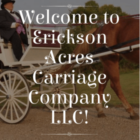 30 minute Carriage Ride item