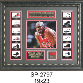 Michael Jordan item