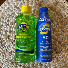 🏖️ DAY AT THE BEACH 🏖️ item