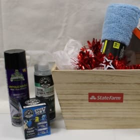 “Squeaky Clean & Insured” item