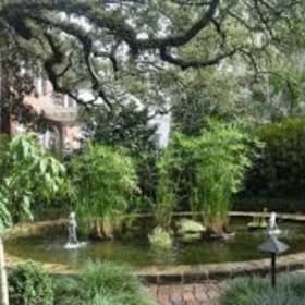 NOGS Tour of Hidden Gardens - Saturday Tea & Tour item