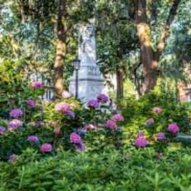 NOGS Tour of Hidden Gardens - Saturday Tea & Tour item