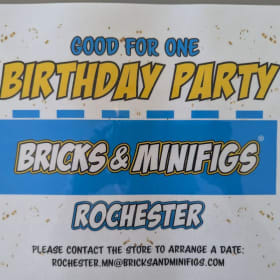 41| Bricks & Minifigs Party Package item