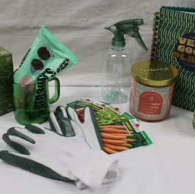 “Sprout & Shine” item