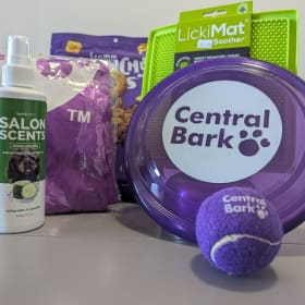 43| New Family & Pet Bundle item