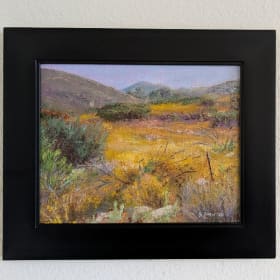 Masterpieces & Meadows: Museum of Art & Goodan Ranch Field item