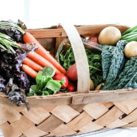 Half Farm Share (Bi-weekly Bag) MONTHLY payment item