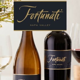 Private wine & cheese tasting for 4 and 1.5L bottle of wine item