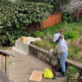 Fun Family Beekeeping Class for 6 item