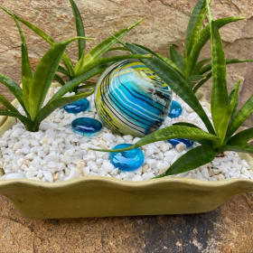 56) Globe Garden Succulent item