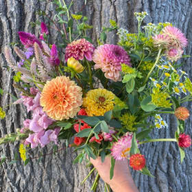 BloomsForGood 6-month Subscription item