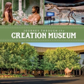 Creation Museum item