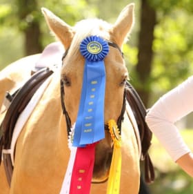 One Private Riding Lesson at Jomar Farms item