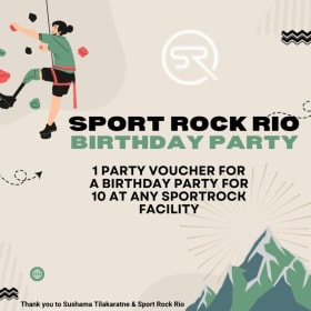 Rock-Climbing Party item