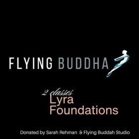 Fly High with Lyra Foundations & Classes! 🦋✨ item