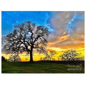 12. Local Metal Landscape item