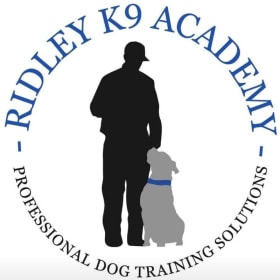 14. Dog Training Session item