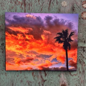 Artist Sandi Wheaton @sandiwheaton66 Palm Canvas item