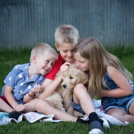 54| Bliss Photography Package item