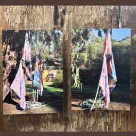 Artist Janenne Willis item