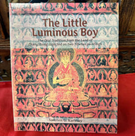 Little Luminous Boy item