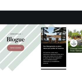 c- Site web : Big box en page d'accueil / Blogue - 1 an item
