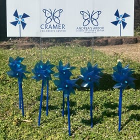 Pinwheel Garden Kit for Child Abuse Awareness Month item
