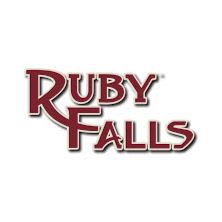 #26 Ruby Falls - Family Pass item