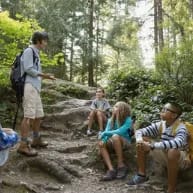 FOREST ECOLOGY & STEWARDSHIP item