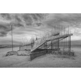 Artist Chris Landis Bombay Beach Star item