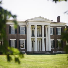 Rippa Villa Tickets item